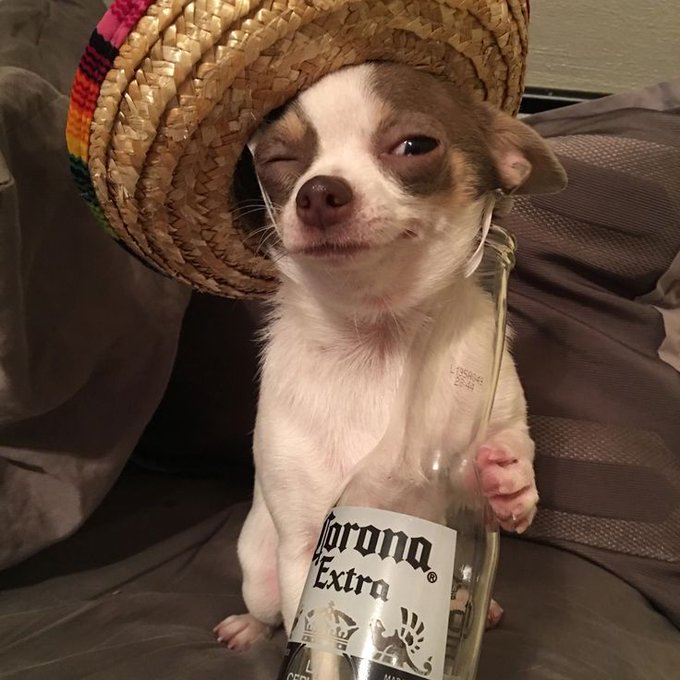  the 