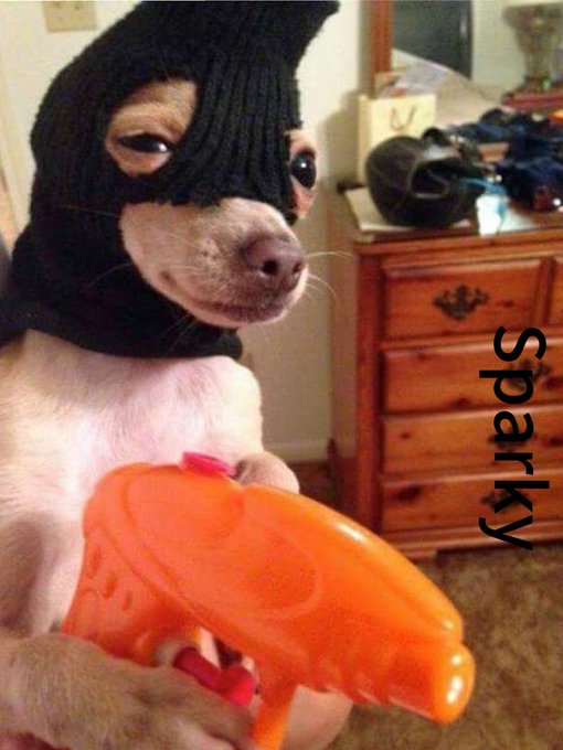  the 