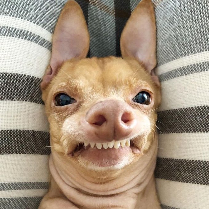  the 