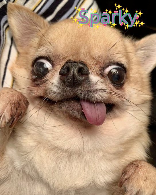  the 